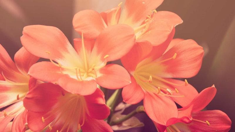 Unity MCP 實作工作坊